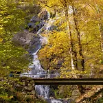 Altes Forsthaus - 