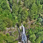 Altes Forsthaus - 