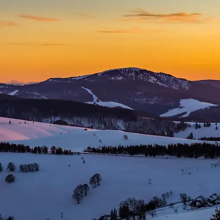 Апартаменты Altes Forsthaus - 