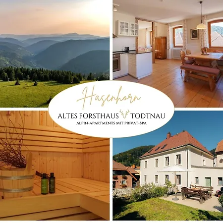 Appartement Altes Forsthaus - 