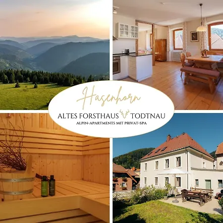 Altes Forsthaus - 